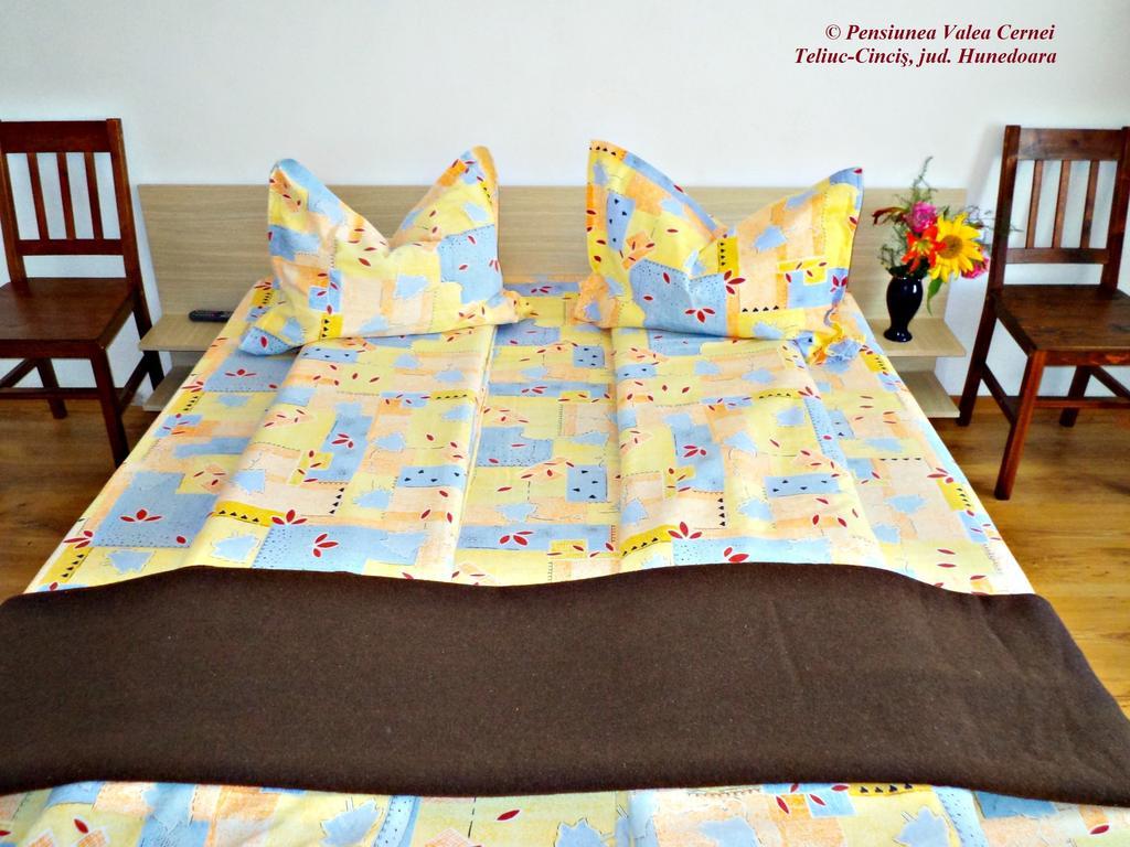 Pensiunea Valea Cernei Teliucu Inferior ห้อง รูปภาพ