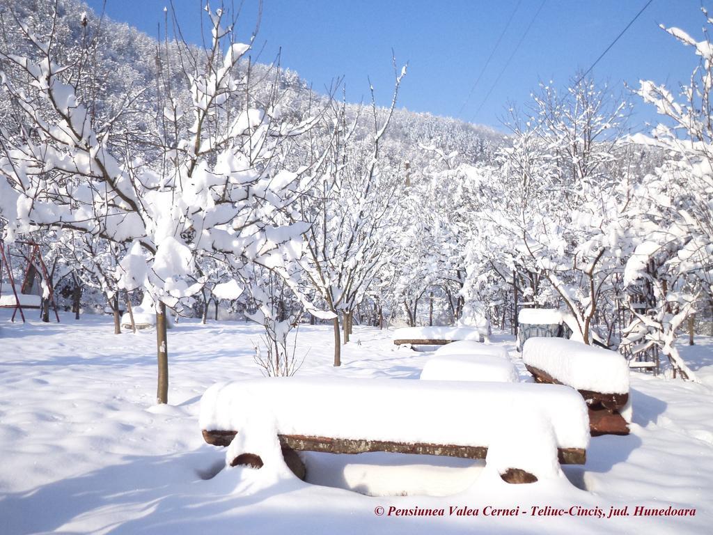 Pensiunea Valea Cernei Teliucu Inferior ภายนอก รูปภาพ