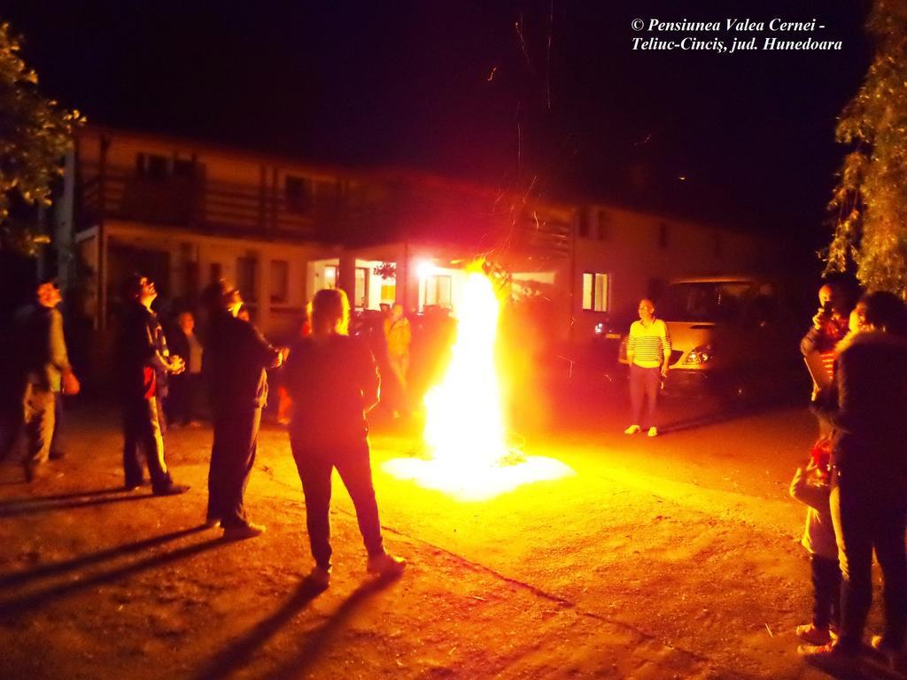 Pensiunea Valea Cernei Teliucu Inferior ภายนอก รูปภาพ