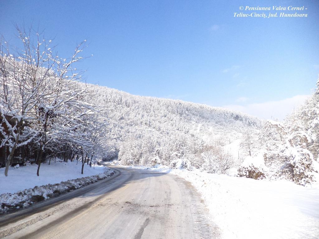 Pensiunea Valea Cernei Teliucu Inferior ภายนอก รูปภาพ